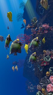 Ocean Aquarium живые обои 1.1. Скриншот 10