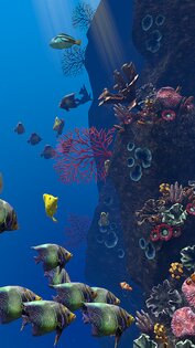 Ocean Aquarium живые обои 1.1. Скриншот 11