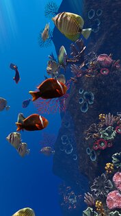 Ocean Aquarium живые обои 1.1. Скриншот 12