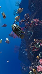 Ocean Aquarium живые обои 1.1. Скриншот 14