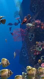 Ocean Aquarium живые обои 1.1. Скриншот 15