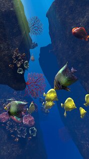 Ocean Aquarium живые обои 1.1. Скриншот 19