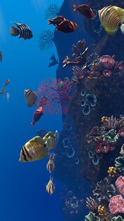 Ocean Aquarium живые обои 1.1. Скриншот 20