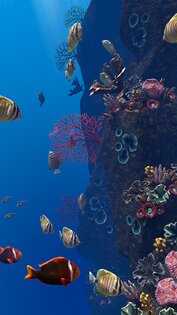 Ocean Aquarium живые обои 1.1. Скриншот 21