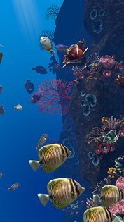 Ocean Aquarium живые обои 1.1. Скриншот 22