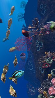 Ocean Aquarium живые обои 1.1. Скриншот 23