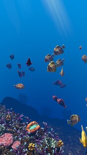 Ocean Aquarium живые обои 1.1. Скриншот 24