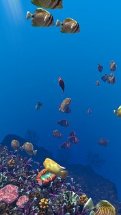 Ocean Aquarium живые обои 1.1. Скриншот 25