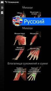 Anatomy Learning – 3D анатомия 2.1.449. Скриншот 7