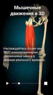 Anatomy Learning – 3D анатомия 3.1.464. Скриншот 14