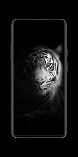 Black Wallpapers 7.1.58. Скриншот 14