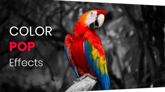 Color Pop – цветовые эффекты 6.7. Скриншот 1