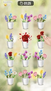 Zen Blossom 2.3. Скриншот 3