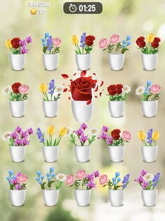 Zen Blossom 2.3. Скриншот 19
