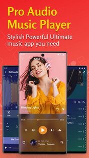 Tohsoft Music Player 12.1. Скриншот 1