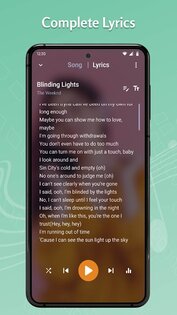 Tohsoft Music Player 12.1. Скриншот 5