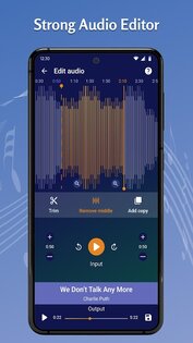 Tohsoft Music Player 12.1. Скриншот 7