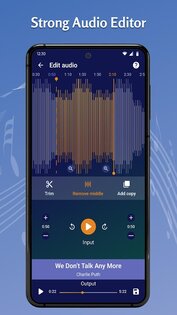 Tohsoft Music Player 12.8. Скриншот 7
