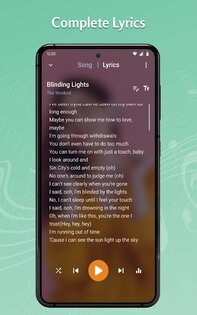 Tohsoft Music Player 12.8. Скриншот 13