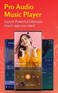 Tohsoft Music Player 12.1. Скриншот 17