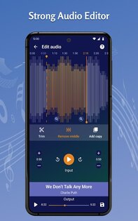Tohsoft Music Player 11.6. Скриншот 23