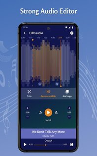 Tohsoft Music Player 12.1. Скриншот 23