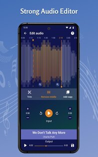 Tohsoft Music Player 12.8. Скриншот 23