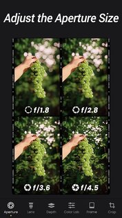 ReLens 3.8.1. Скриншот 6