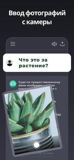 Genie – AI Chatbot Русский 7.9.2. Скриншот 3