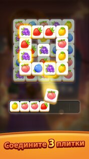 Tile Family 1.68.2. Скриншот 3