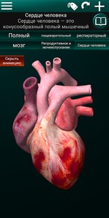 Внутренние органы в 3D 3.4. Скриншот 8