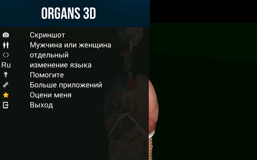 Внутренние органы в 3D 3.4. Скриншот 11