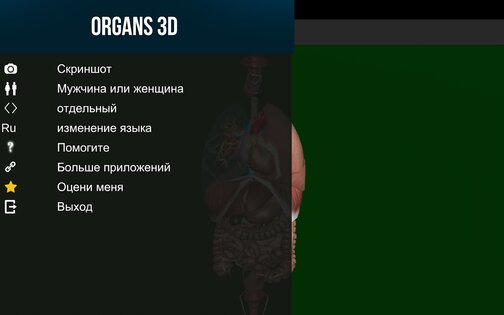 Внутренние органы в 3D 3.4. Скриншот 19