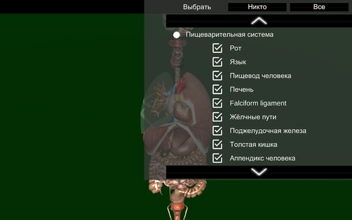 Внутренние органы в 3D 3.4. Скриншот 20