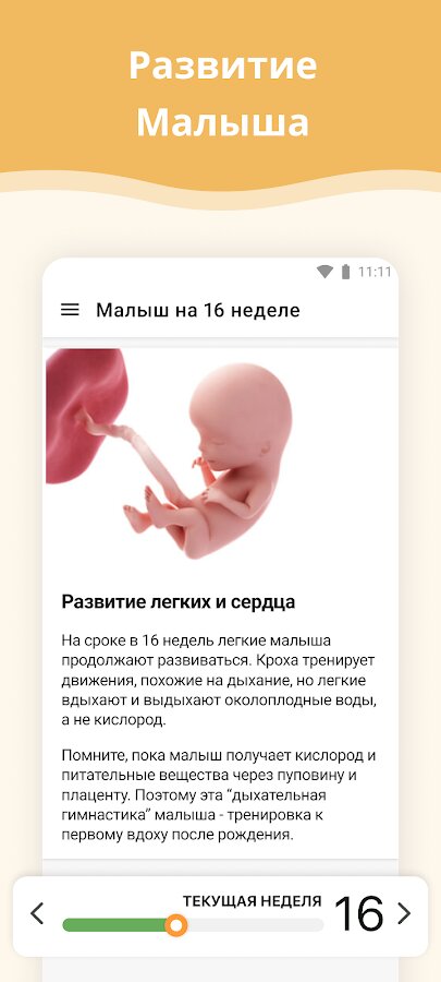 Календарь зачатия ребенка, как рассчитать пол ребенка | статьи от Huggies