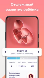 Momly – календарь беременности 3.8.2. Скриншот 3
