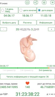 Калькулятор беременности 1.107. Скриншот 5