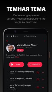 Quran Pro 2.4.5. Скриншот 4