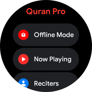 Quran Pro 2.3.3. Скриншот 22