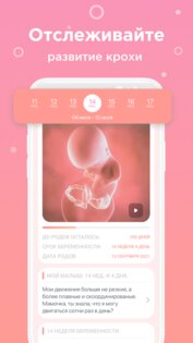 Календарь беременности: недели 2.7.8. Скриншот 2