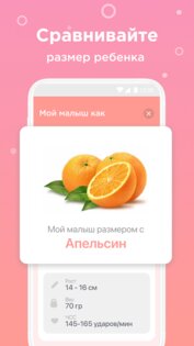 Календарь беременности: недели 2.7.8. Скриншот 3
