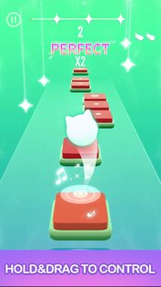 Dancing Cats 0.2.10. Скриншот 1