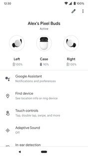 Google Pixel Buds 1.0.709452546. Скриншот 4