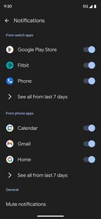 Google Pixel Watch 3.4.0.742257696. Скриншот 5