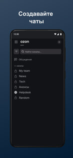 Ozon Chatzone 3.1.0. Скриншот 4