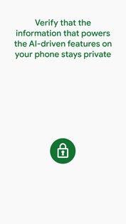 Private Compute Services 1.0.743434649. Скриншот 1