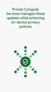 Private Compute Services 1.0.743434649. Скриншот 4