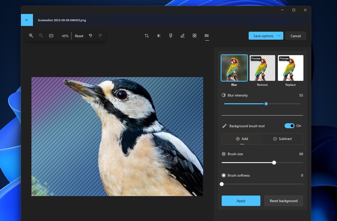 Приложение Photos в Windows 11 научилось редактировать фон изображений ...
