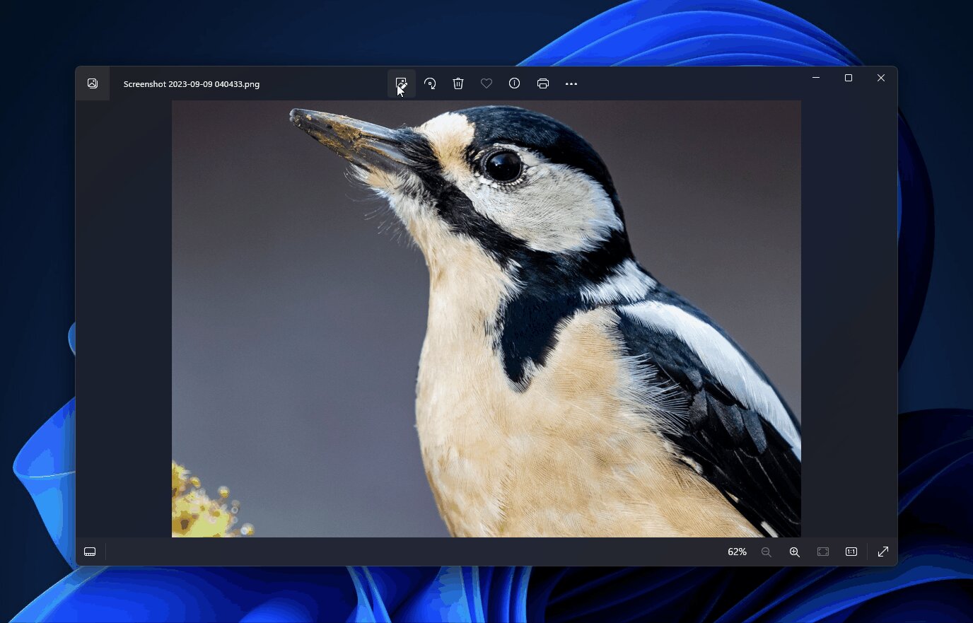 Приложение Photos в Windows 11 научилось редактировать фон изображений ...