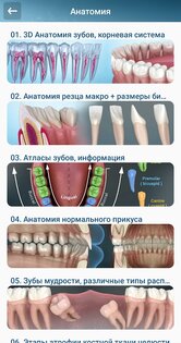 Стоматологические иллюстрации 2.0.95. Скриншот 3